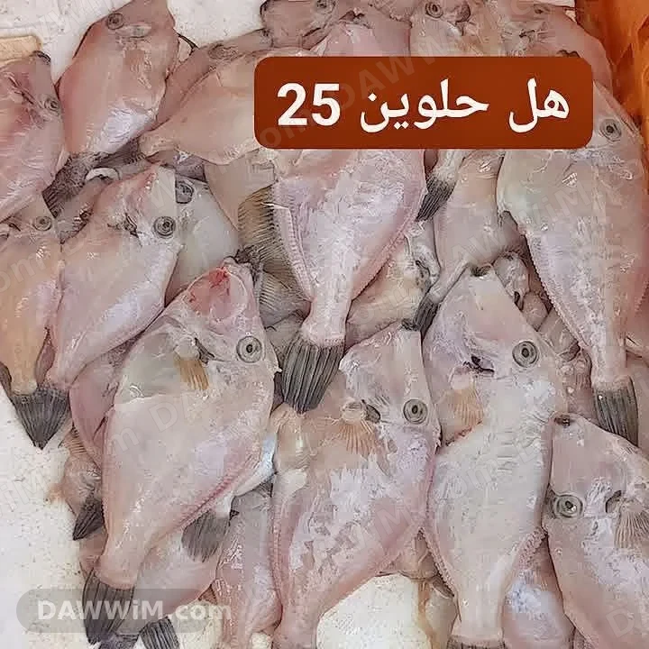 سمك زبيدي منظف