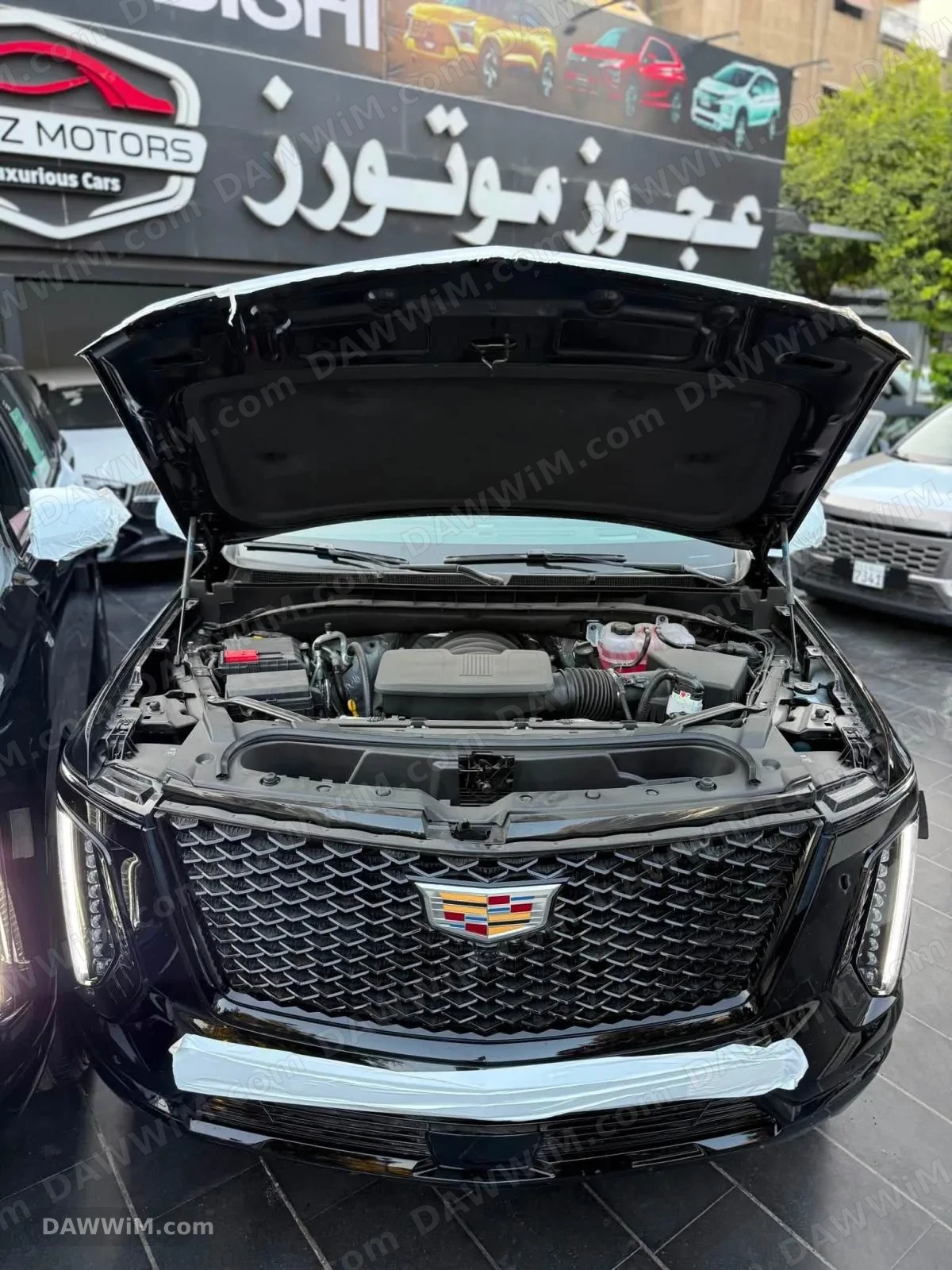 كاديلاك اسكاليد 2026 جديدة