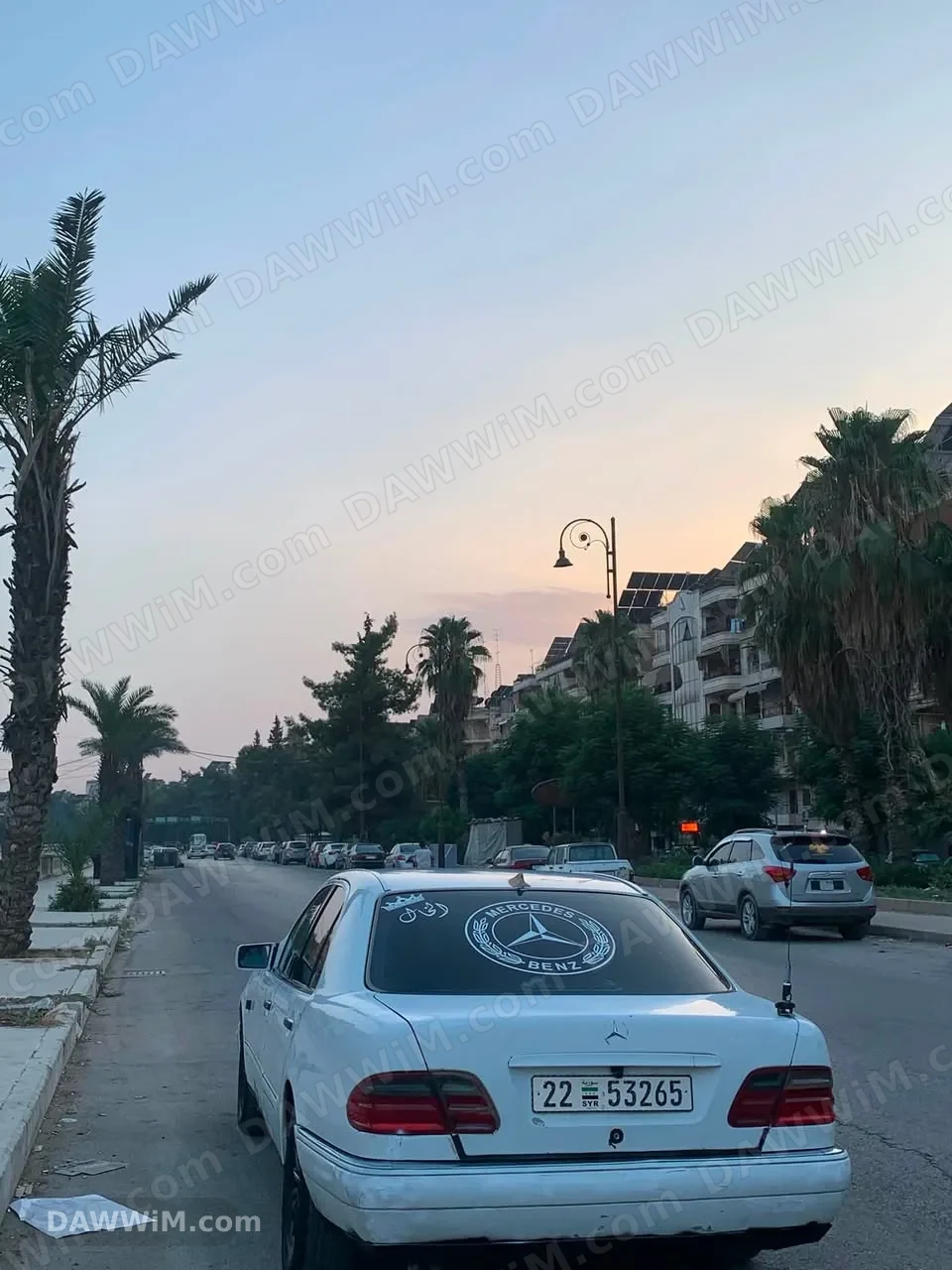 مرسيدس نملة للبيع