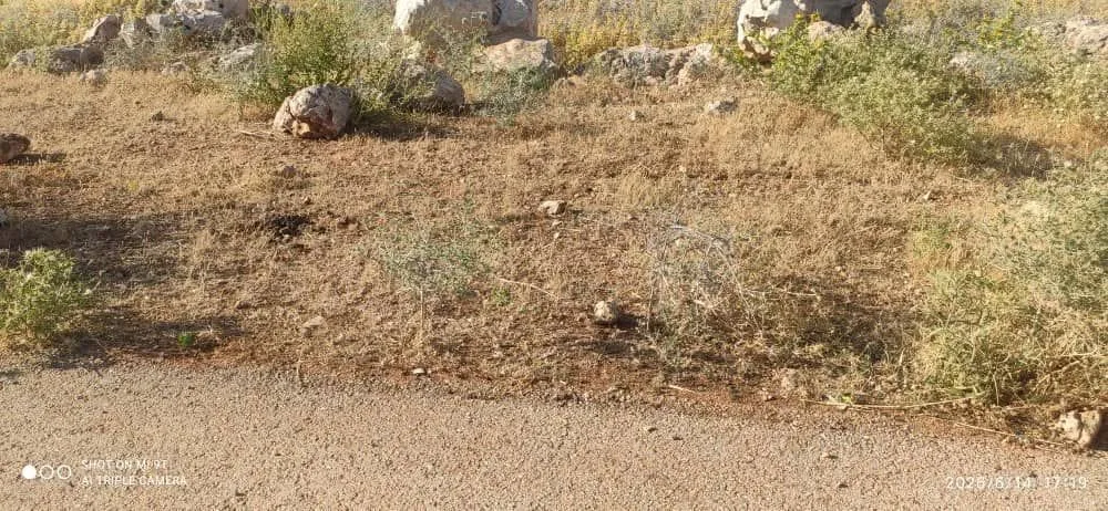 أرض للبيع في خان العسل غرب كازية الجلبي