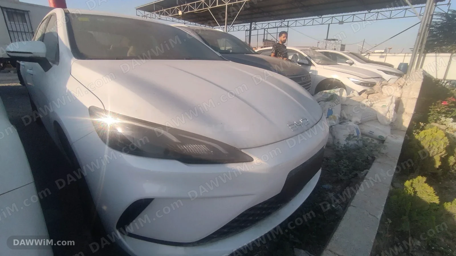 سيارة بي واي دي BYD Seal 05 موديل 2026 جديدة