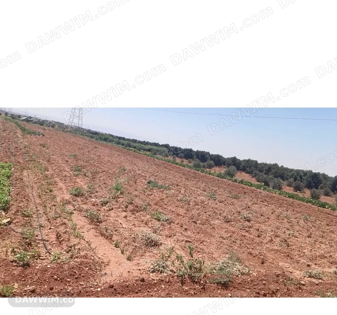 أرض للبيع في حمص - تل النصر