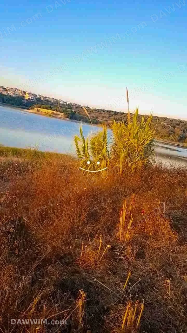 أرض للبيع في محافظة اللاذقية صالحة للبناء