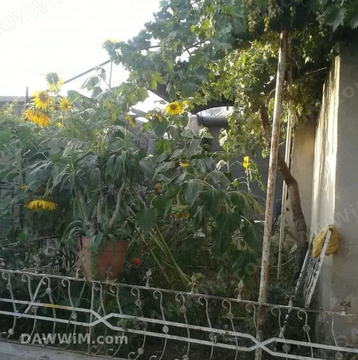 بيت عربي فخم للبيع في الرقة - الدرعية