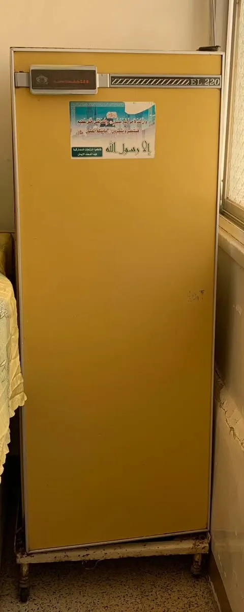 براد أفندي للبيع