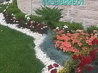 خدمات تنسيق حدائق وزراعة منزلية في دمشق - النزهة
