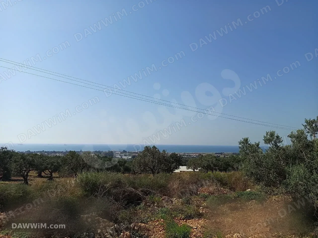 أرض للاستثمار السياحي أو السكني في طرطوس - 10,000 م²
