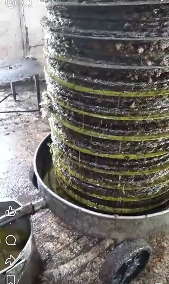 بيع زيت زيتون حجري مكفول ومعصور على البارد - 40 بيدونة