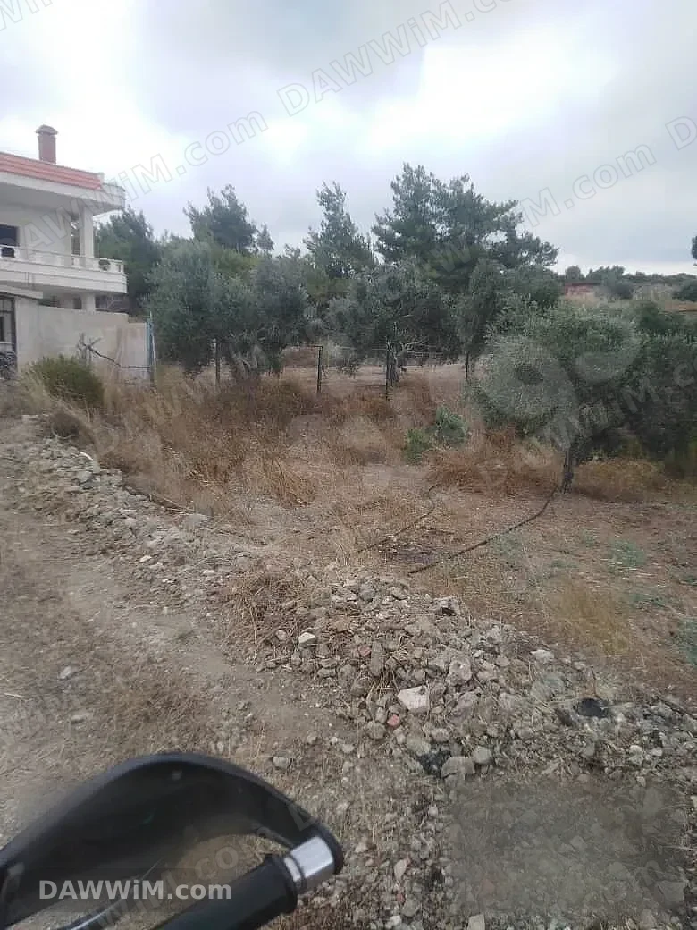 مزرعة مع فيلا بإطلالة بحرية في ريف اللاذقية الشمالي