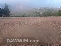 أرض للبيع في راس البسيط البدروسية