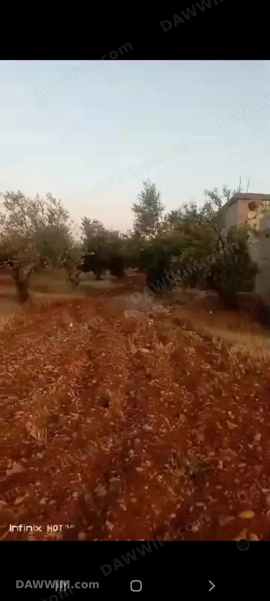 مزرعة للبيع في حمص الجابرية مع 3 منازل