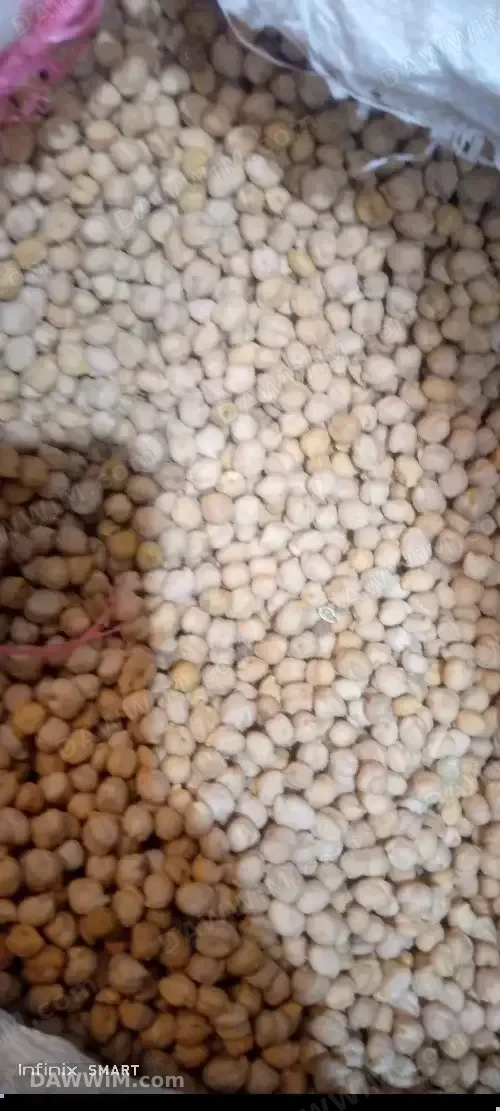 حمص بلدي ناعم