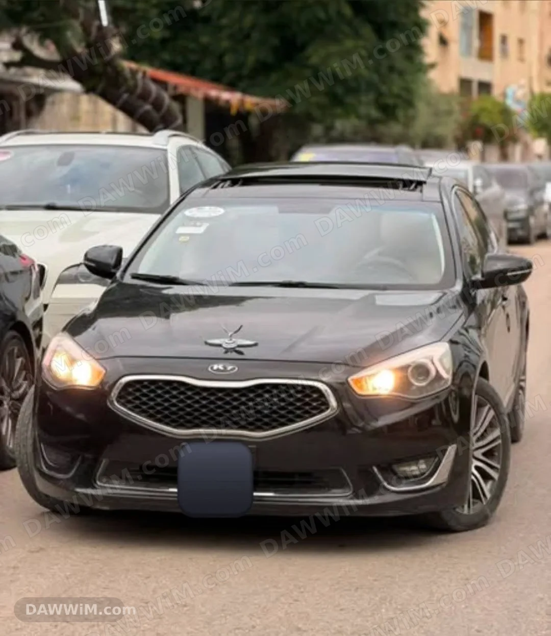 سيارات للإيجار 50 دولار باليوم