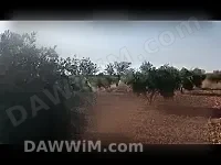 أرض زراعية للبيع في ريف حمص الشرقي