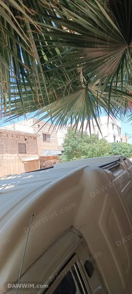 كبوت سيارة فاو للبيع في حماة
