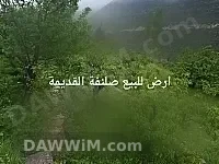 أرض للبيع في صلنفة - قرية الهريادي