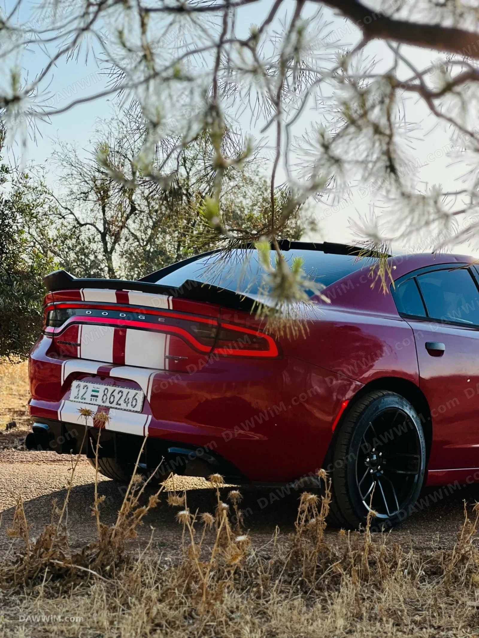 دودج تشارجر SXT موديل 2016 مستعملة للبيع