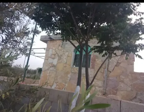 أرض زراعية طابو أخضر في ريف دمشق