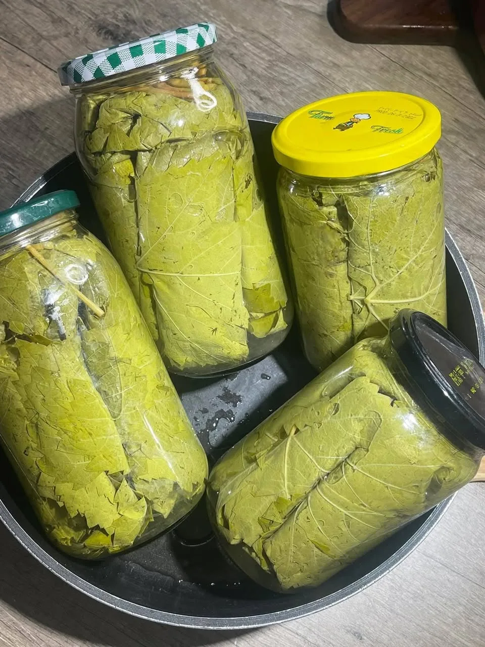 بيع ورق عنب مضغوط ومعبأ في مرطبانات