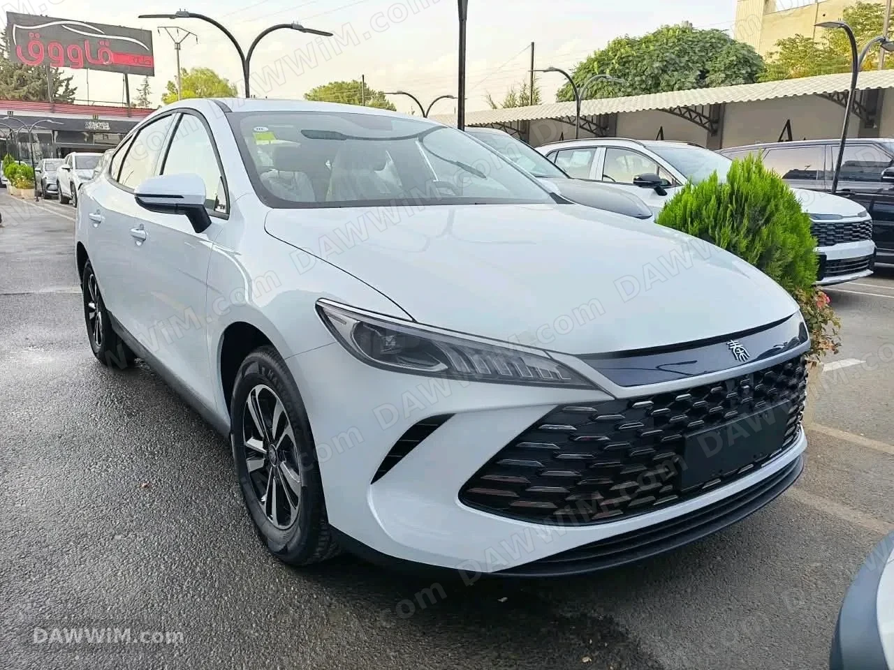 بي واي دي BYD كين بلس Qin Plus 2026 جديدة